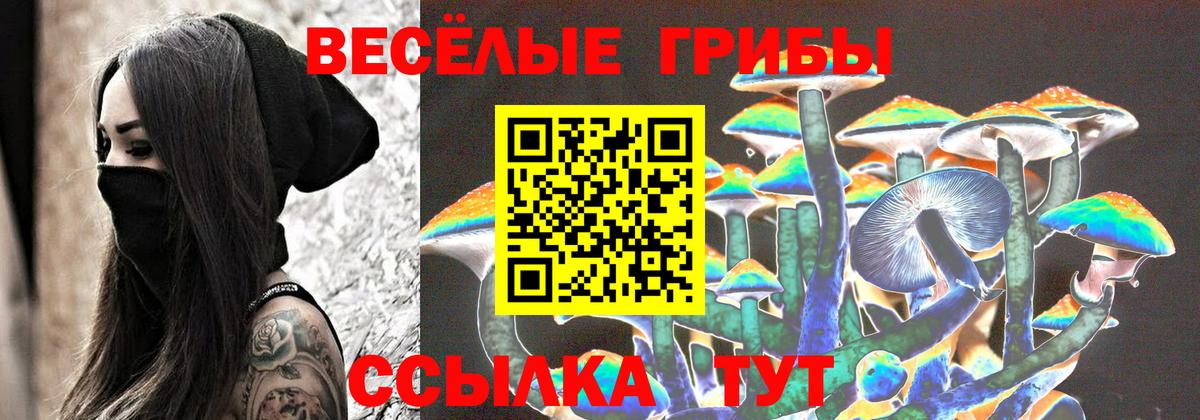 купить  сайты  Вход с VPN  Тобольск  Псилоцибиновые грибы GOLDEN TEACHER 